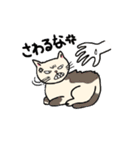 不機嫌なユルネコcat（個別スタンプ：22）