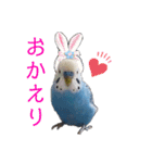 ぴーちゃんpart2（個別スタンプ：1）