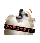 もふもふマリンちゃん（個別スタンプ：2）