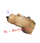 もふもふマリンちゃん（個別スタンプ：5）
