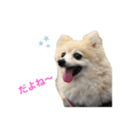 もふもふマリンちゃん（個別スタンプ：14）
