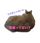 もふもふマリンちゃん（個別スタンプ：15）