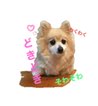もふもふマリンちゃん（個別スタンプ：16）