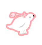 ライチョウのシール（個別スタンプ：6）