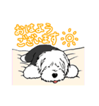 オールドイングリッシュシープドッグ！（個別スタンプ：1）