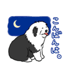 オールドイングリッシュシープドッグ！（個別スタンプ：3）