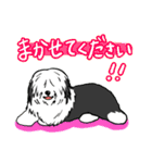 オールドイングリッシュシープドッグ！（個別スタンプ：17）