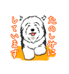 オールドイングリッシュシープドッグ！（個別スタンプ：23）