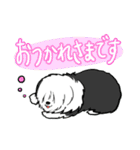 オールドイングリッシュシープドッグ！（個別スタンプ：24）