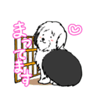 オールドイングリッシュシープドッグ！（個別スタンプ：27）