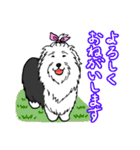 オールドイングリッシュシープドッグ！（個別スタンプ：31）