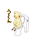 眠いです。オカメです。（個別スタンプ：11）