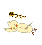 眠いです。オカメです。（個別スタンプ：24）