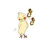 眠いです。オカメです。（個別スタンプ：33）