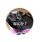 松吉と梅子、ときどき竹ちゃん（個別スタンプ：13）