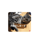 松吉と梅子、ときどき竹ちゃん（個別スタンプ：20）