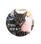 松吉と梅子、ときどき竹ちゃん（個別スタンプ：23）