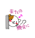 使いやすい敬語♪ねこのるうちゃんスタンプ（個別スタンプ：11）