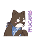 なにわの商人！？大阪生まれの柴犬、黒豆君！（個別スタンプ：1）