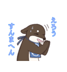 なにわの商人！？大阪生まれの柴犬、黒豆君！（個別スタンプ：2）