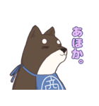 なにわの商人！？大阪生まれの柴犬、黒豆君！（個別スタンプ：5）