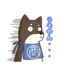 なにわの商人！？大阪生まれの柴犬、黒豆君！（個別スタンプ：7）