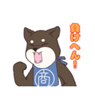 なにわの商人！？大阪生まれの柴犬、黒豆君！（個別スタンプ：12）