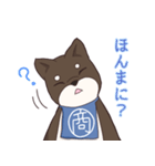 なにわの商人！？大阪生まれの柴犬、黒豆君！（個別スタンプ：13）