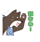 なにわの商人！？大阪生まれの柴犬、黒豆君！（個別スタンプ：14）