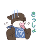 なにわの商人！？大阪生まれの柴犬、黒豆君！（個別スタンプ：16）