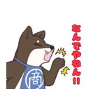 なにわの商人！？大阪生まれの柴犬、黒豆君！（個別スタンプ：19）