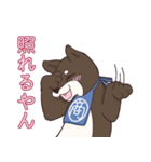 なにわの商人！？大阪生まれの柴犬、黒豆君！（個別スタンプ：22）