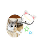 かわいいみいこ（個別スタンプ：5）