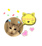 かわいいみいこ（個別スタンプ：7）