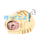 25HR愉快な仲間達 1（個別スタンプ：19）