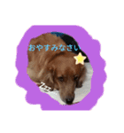 ダックス＆ネコ（個別スタンプ：2）