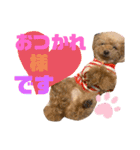 ぽんちゃん＆まりちゃんの日常スタンプ（個別スタンプ：18）