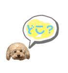 ぽんちゃん＆まりちゃんの日常スタンプ（個別スタンプ：21）
