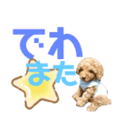 ぽんちゃん＆まりちゃんの日常スタンプ（個別スタンプ：24）