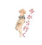 花花1花花（個別スタンプ：3）