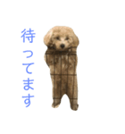 花花1花花（個別スタンプ：6）
