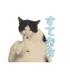 かずれもんの家のにゃんこ2（個別スタンプ：17）