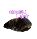 かずれもんの家のにゃんこ2（個別スタンプ：23）