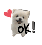 小林さんちの犬（個別スタンプ：2）