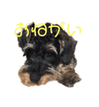 じじの呟き（個別スタンプ：4）
