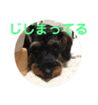 じじの呟き（個別スタンプ：9）