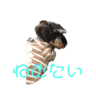 じじの呟き（個別スタンプ：12）