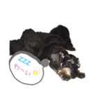 じじの呟き（個別スタンプ：23）
