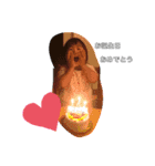 あーちゃん‪♡︎/︎‪♡︎/︎（個別スタンプ：21）