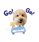 まるさんちのモコのスタンプ（個別スタンプ：21）